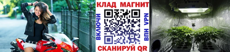 Виды наркоты Микунь ГАШ 