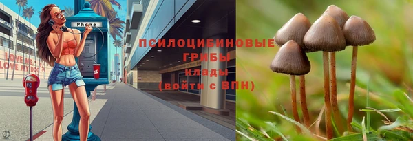 соль ск Куйбышев