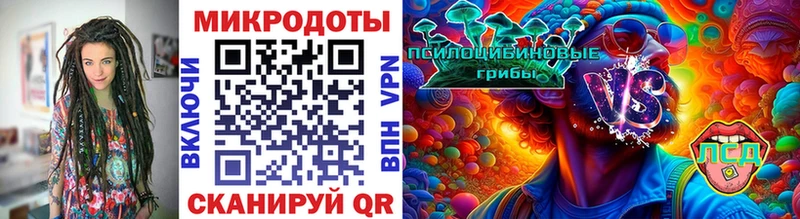 Галлюциногенные грибы Psilocybine cubensis Микунь